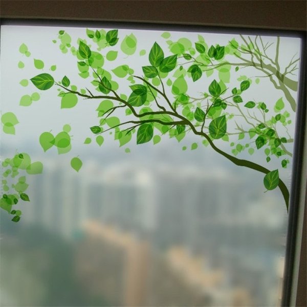 Прозрачная пленка на окна