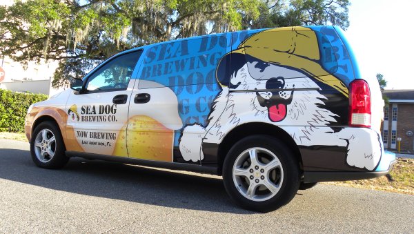 Накладки на стекла автомобиля