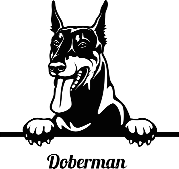 Доберман черно белая наклейка