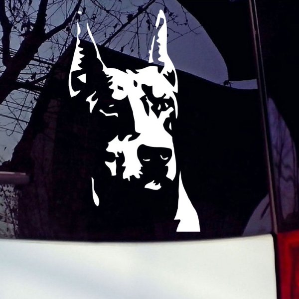 Гравировка Доберман