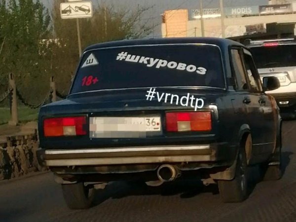 Наклейка ШКУРОВОЗ на лобовое