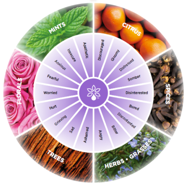 Пробник эфирного масла DOTERRA