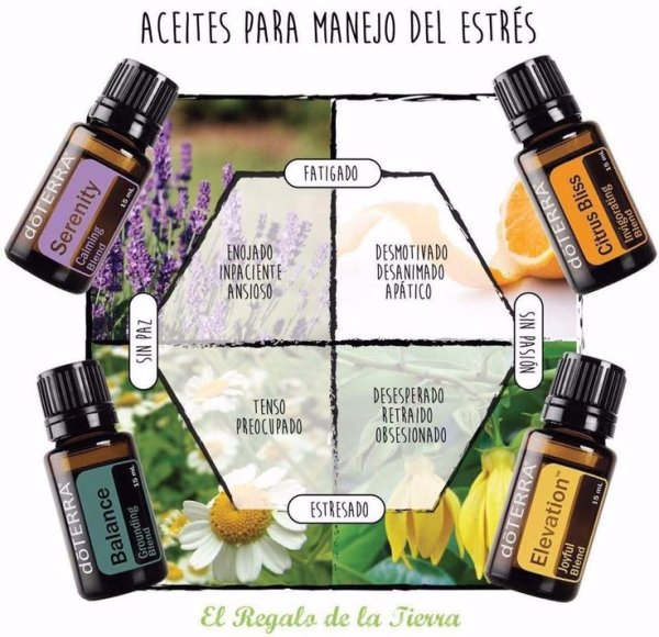 Лаванда и мята ДОТЕРРА