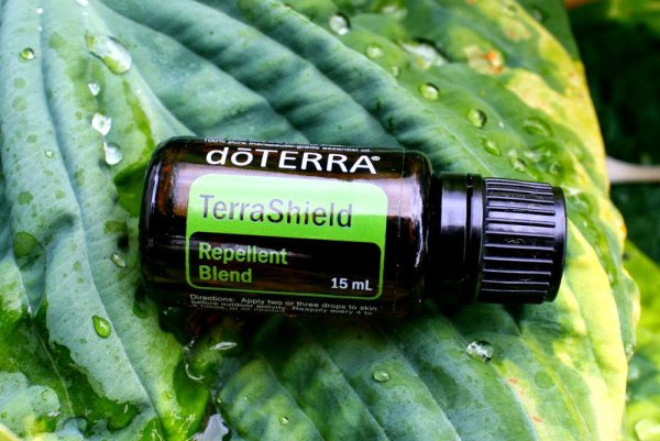 Мелисса эфирное масло DOTERRA