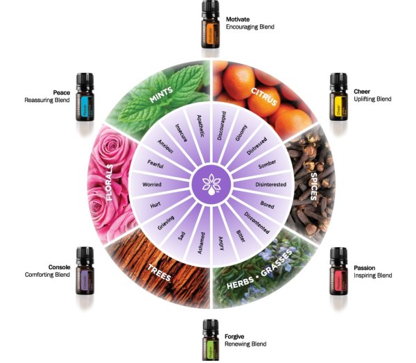 Смеси эмоциональная ДОТЕРРА набор