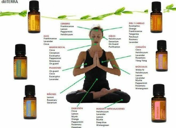 Дотера эфирные масла официальный