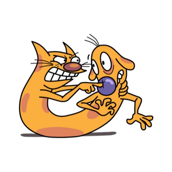 Котопес блохи