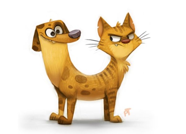 Котопес обои