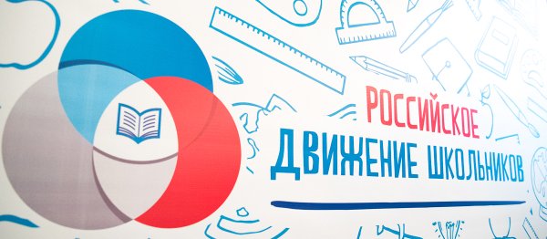 Картина РДШ