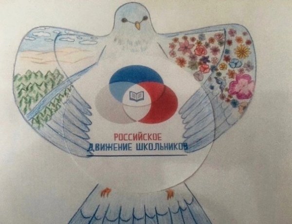 Обложка РДШ