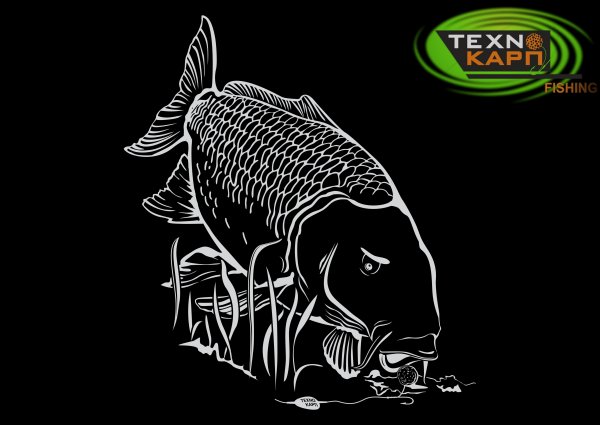 Наклейки для карпфишинга