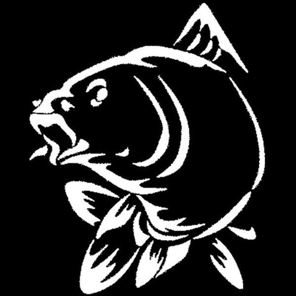 Карпфишинг логотип