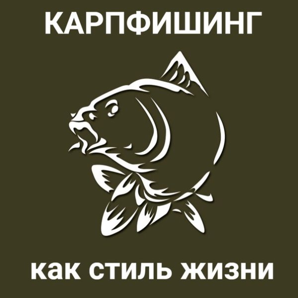 Наклейка карпфишинг на авто