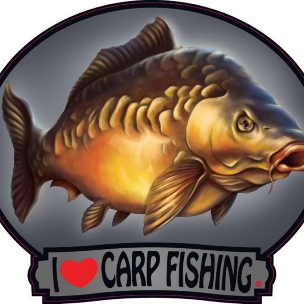 Карп логотип