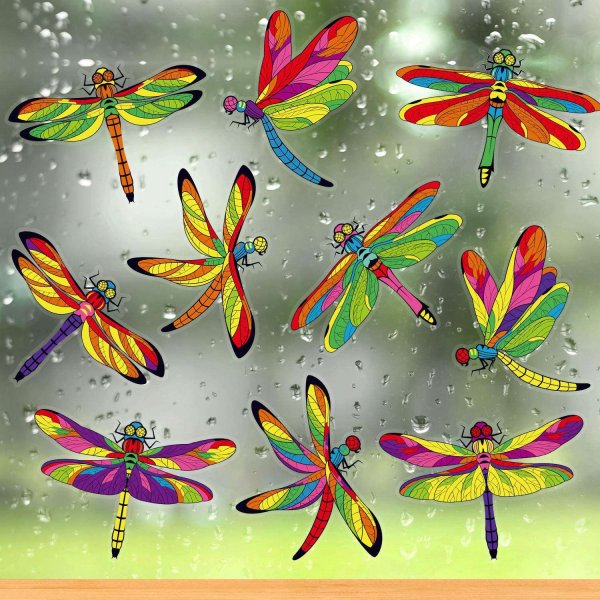 Стрекоза на окне