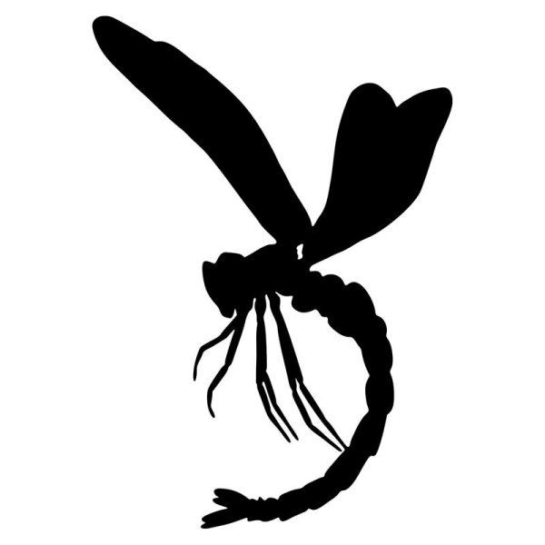 Наклейки "Стрекозы"