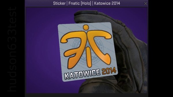 Fnatic Holo Katowice 2014
