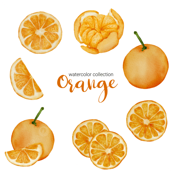 Закладки с апельсинами