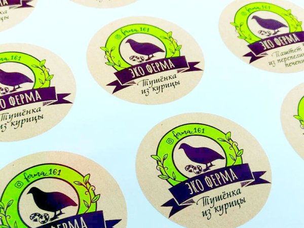 Эко стиль логотип