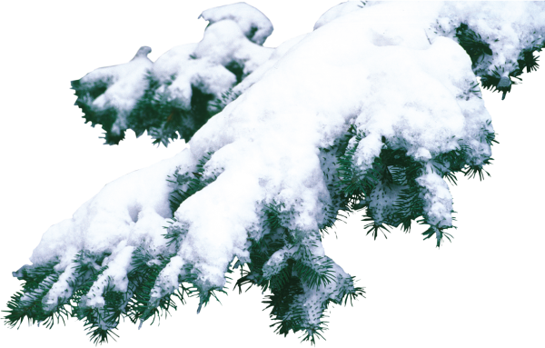 Снег на прозрачном фоне