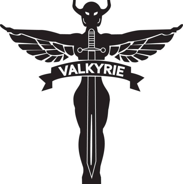 Стикер Валькирия