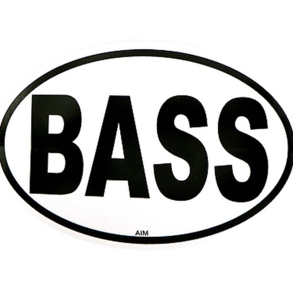 Надпись басс