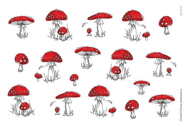 Грибы плакат для детей