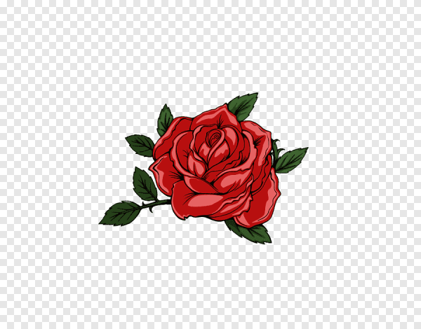 Роза аниме на прозрачном фоне