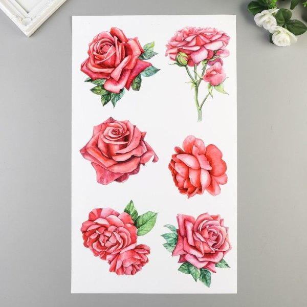 Наклейка интерьерная роза
