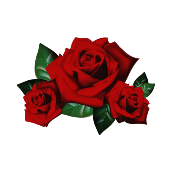 Красные розы Стикеры