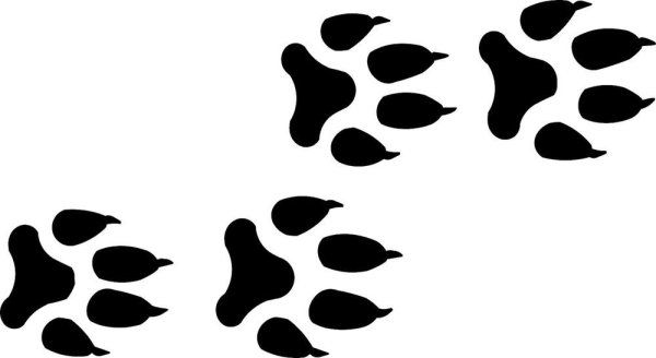 Рекламные наклейки на пол