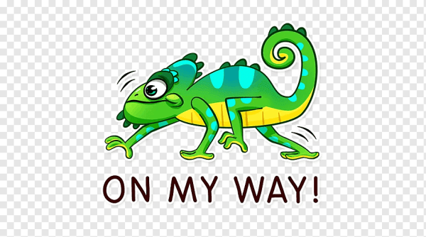 Амфибия логотип