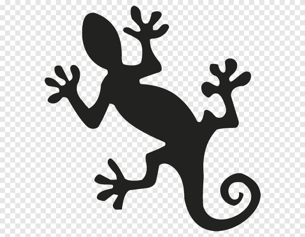 Amphibia humanization