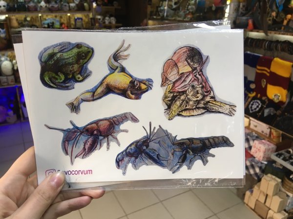 Добрая Кобра Брянск