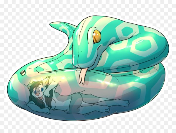 Sprig plantar Amphibia