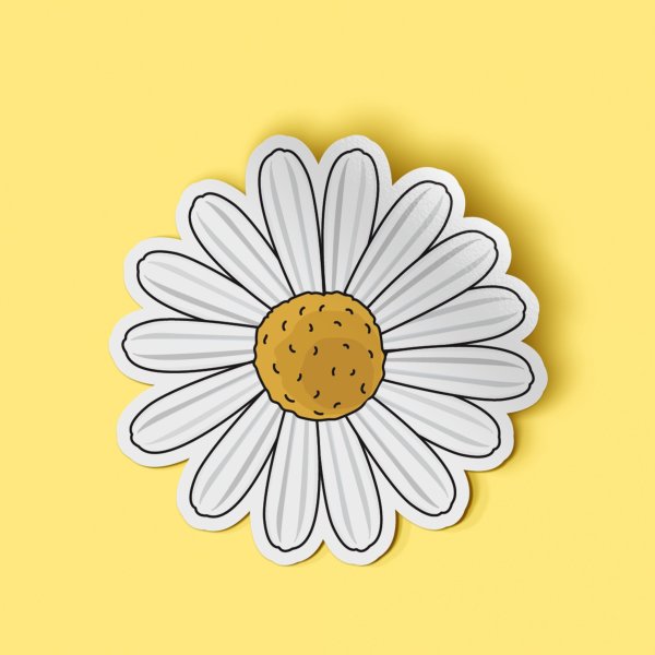 Принт ромашки