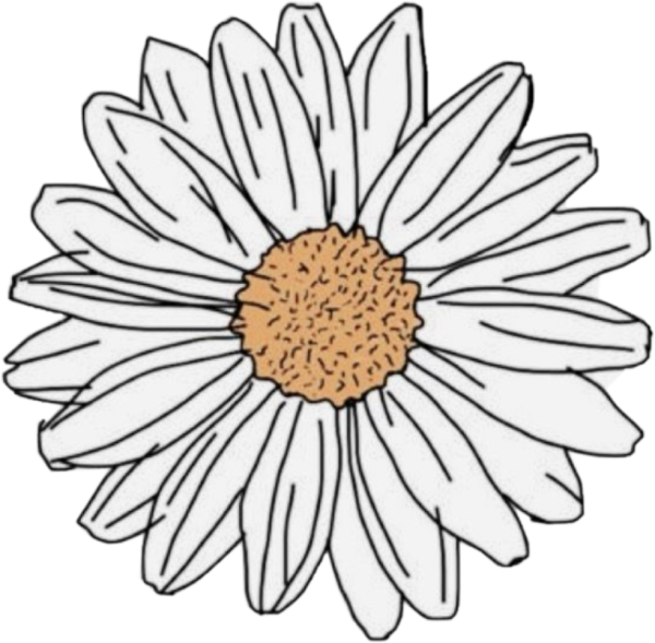 Наклейка ромашки