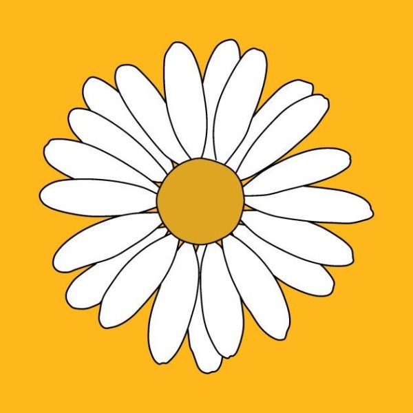 Стикер Ромашка