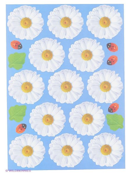 Ромашка с розовой серединкой