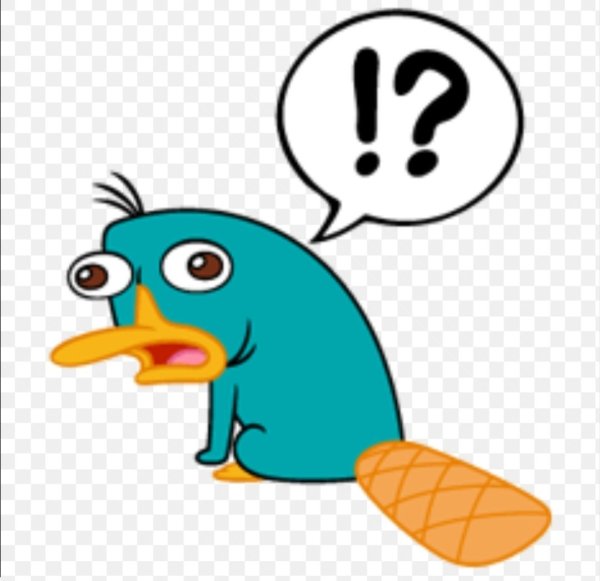 Перри Утконос лежит