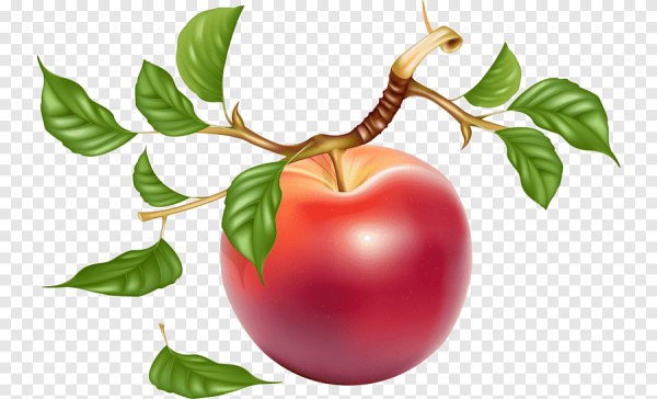 Наклейки яблочки