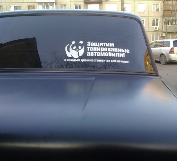 Прикольные надписи на тонировке