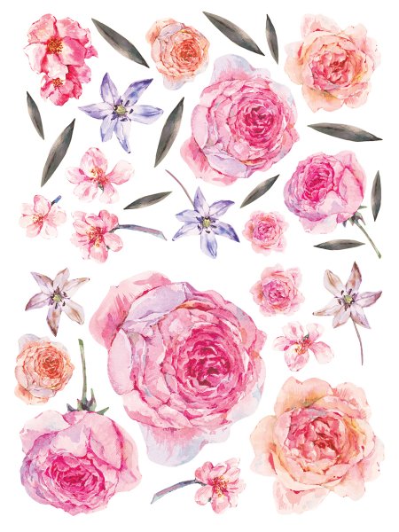 Акварельные пионы Декоретто