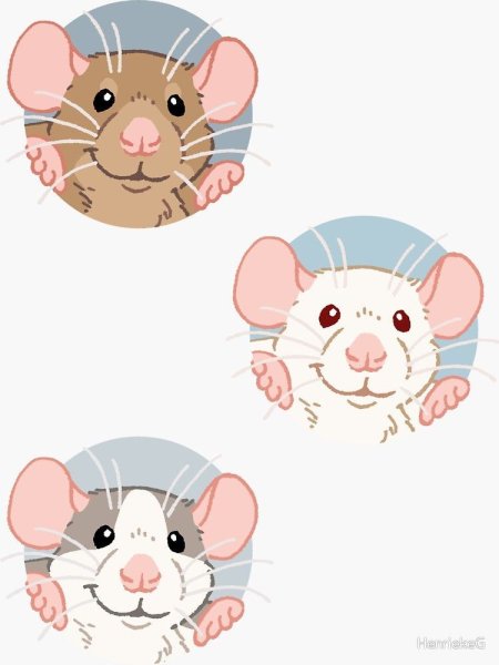 Наклейки с крысами купить