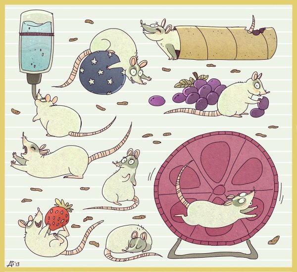 Милые Стикеры крысы