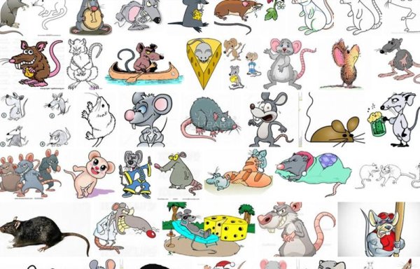 Лучшая наклейка крыса