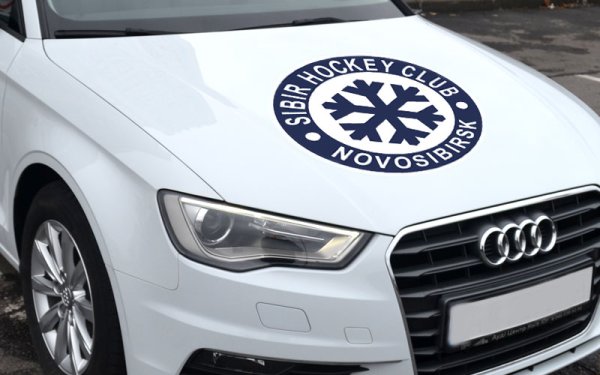 Хк Сибирь старый логотип