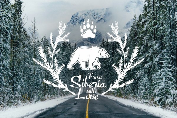 Штамп медведь