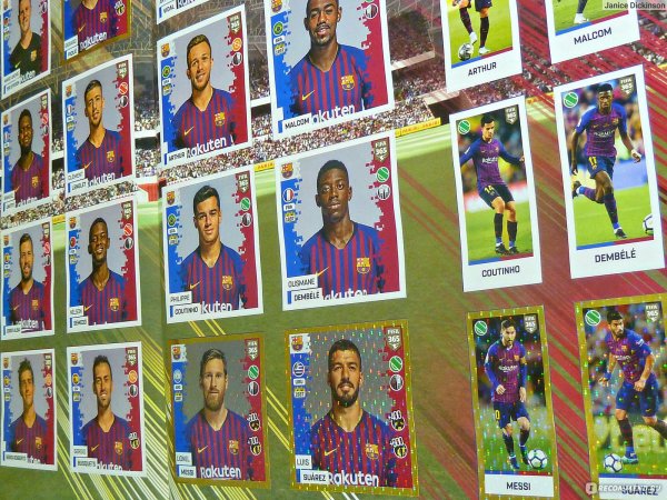 Футбольные альбомы с наклейками Панини