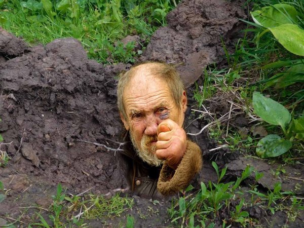 Эмблема черных копателей